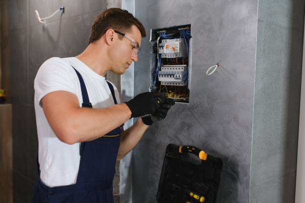 Best Electrician for Home Renovation  in Mount Pleasant, MI